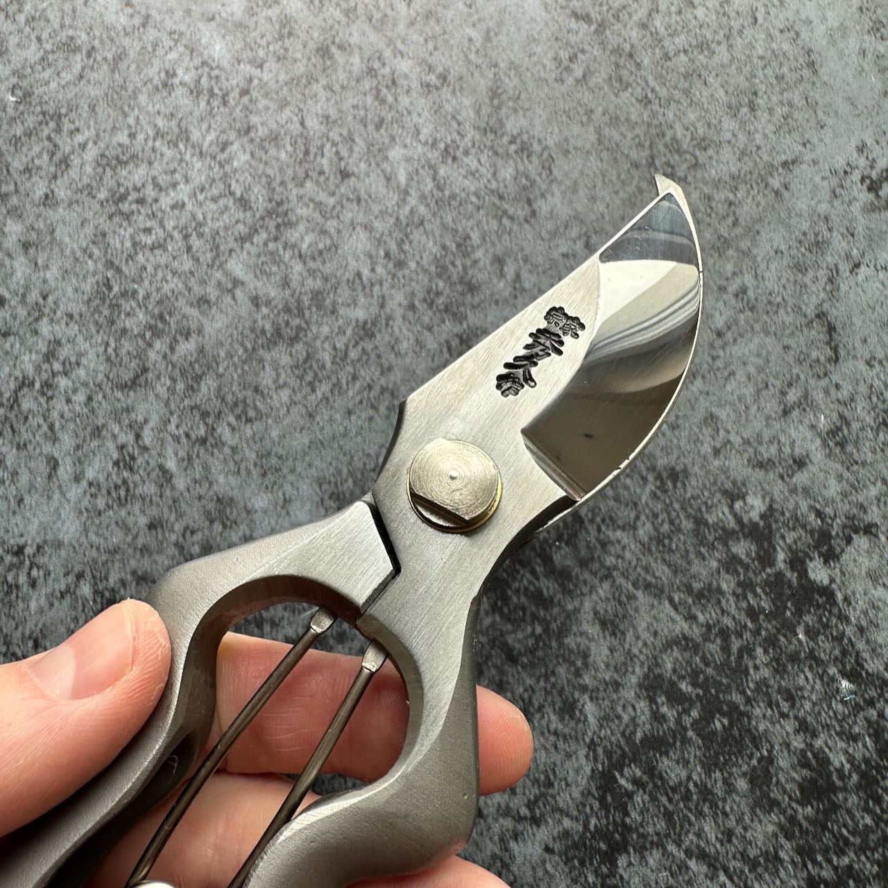 Japan traditional Stainless Secateur BB200-S 200mm T-22 - Kamimoto