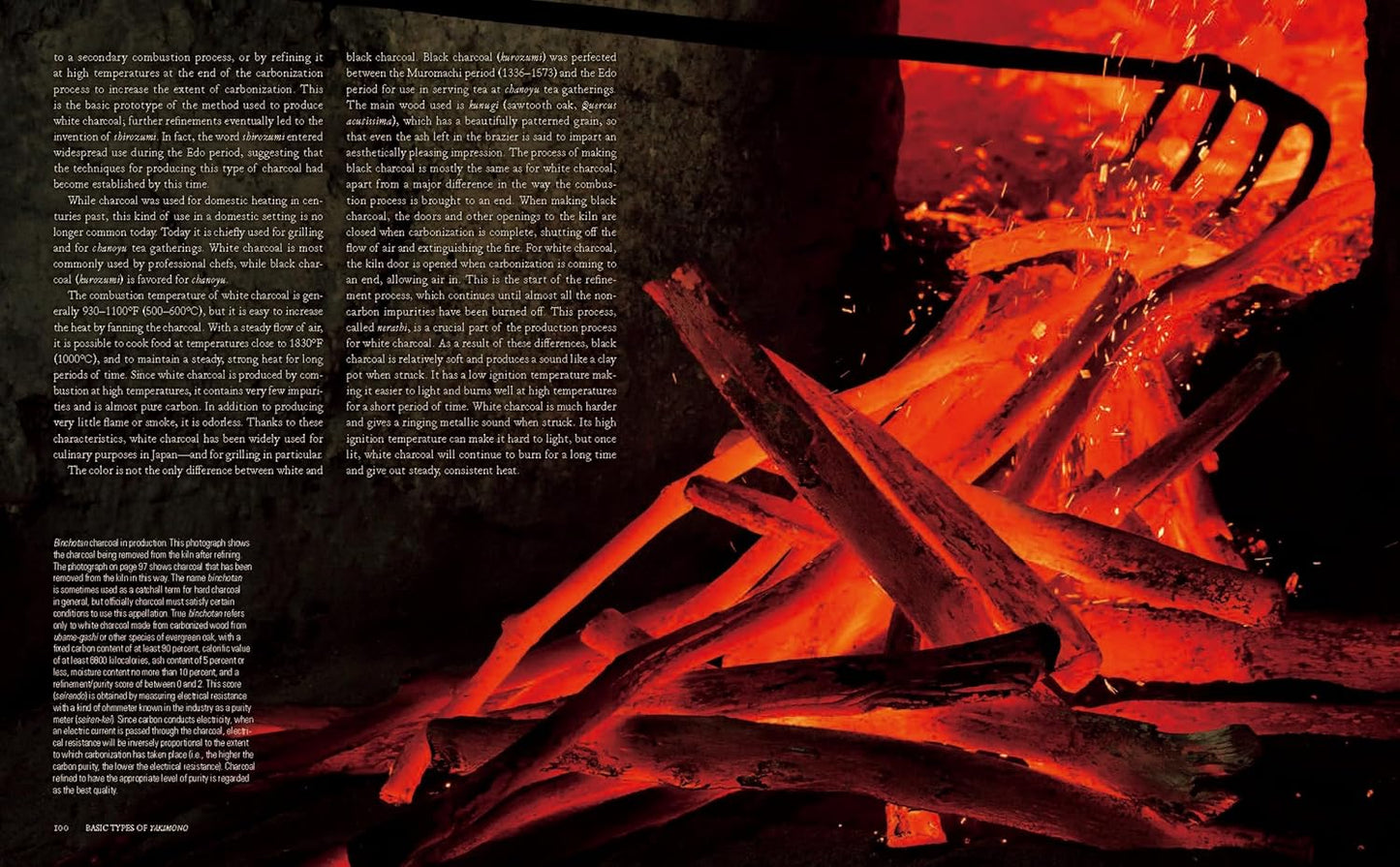 The Japanese Culinary Academy YAKIBA, Grilling Techniques: Shio-yaki, Furishio-yaki,Yuan-yaki, Tare-yaki, and Yakitori (English) - Kamimoto