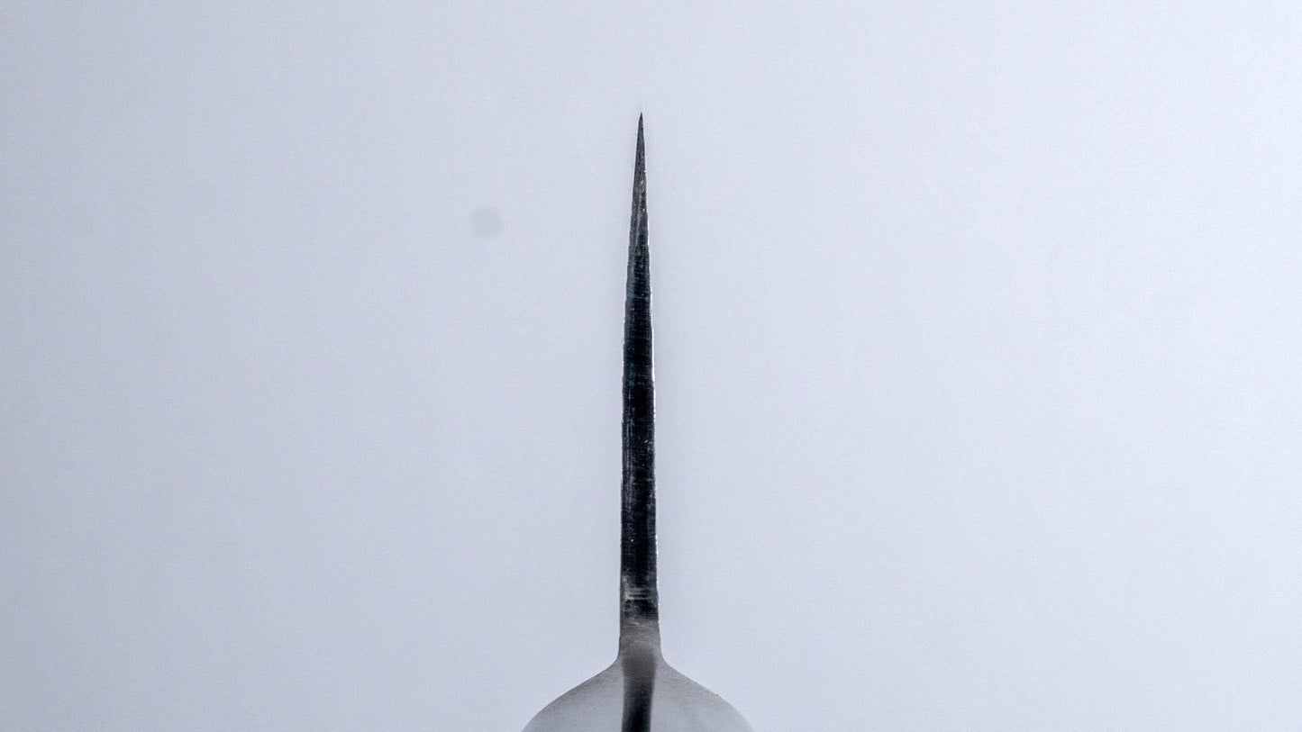 FJ SG2 Nickel Damascus Gyuto 210mm Pakka Handle - Kamimoto