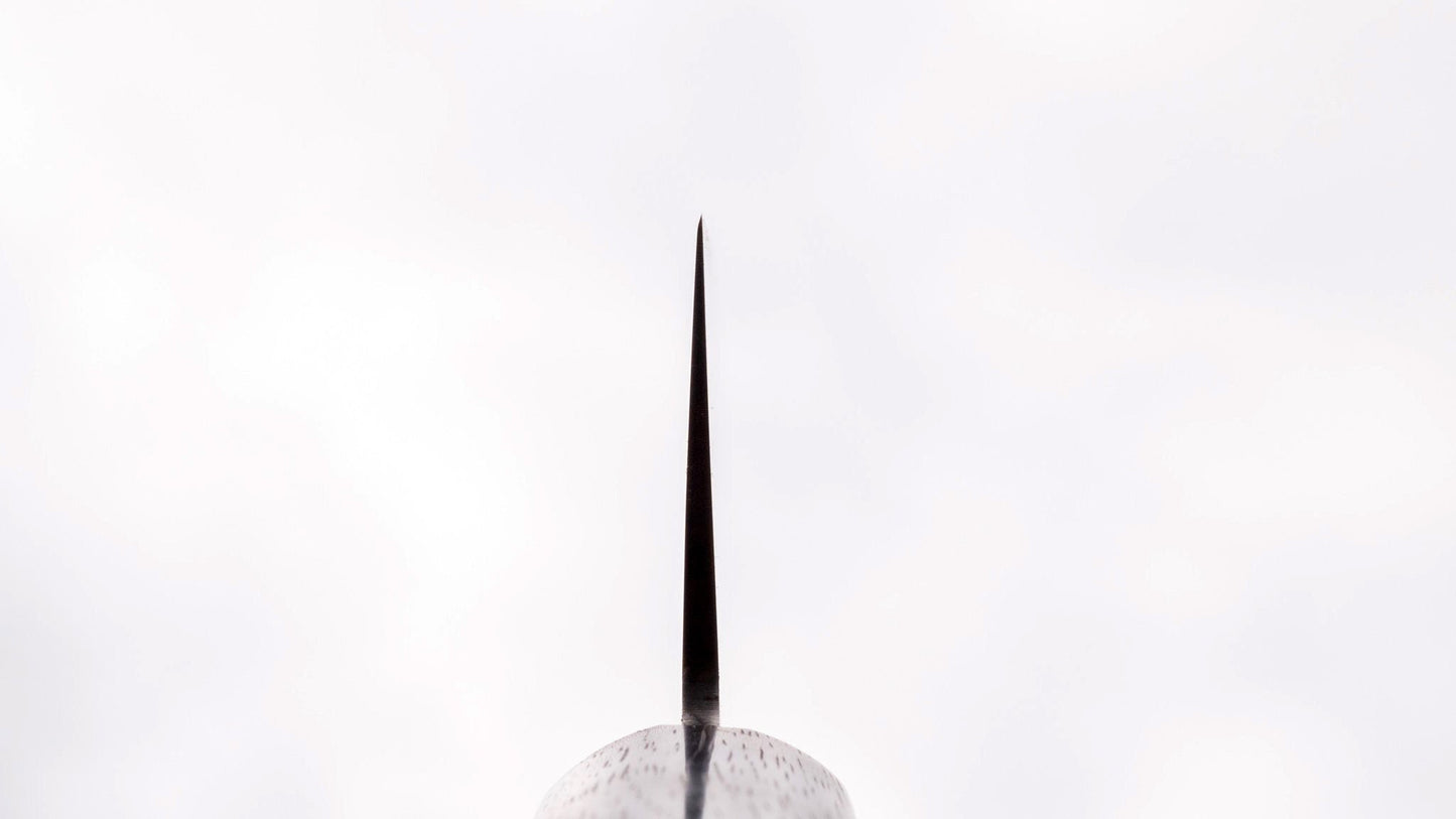 Masakane Vintage SK Gyuto 210mm Ebony Handle (No Bolster) - Kamimoto