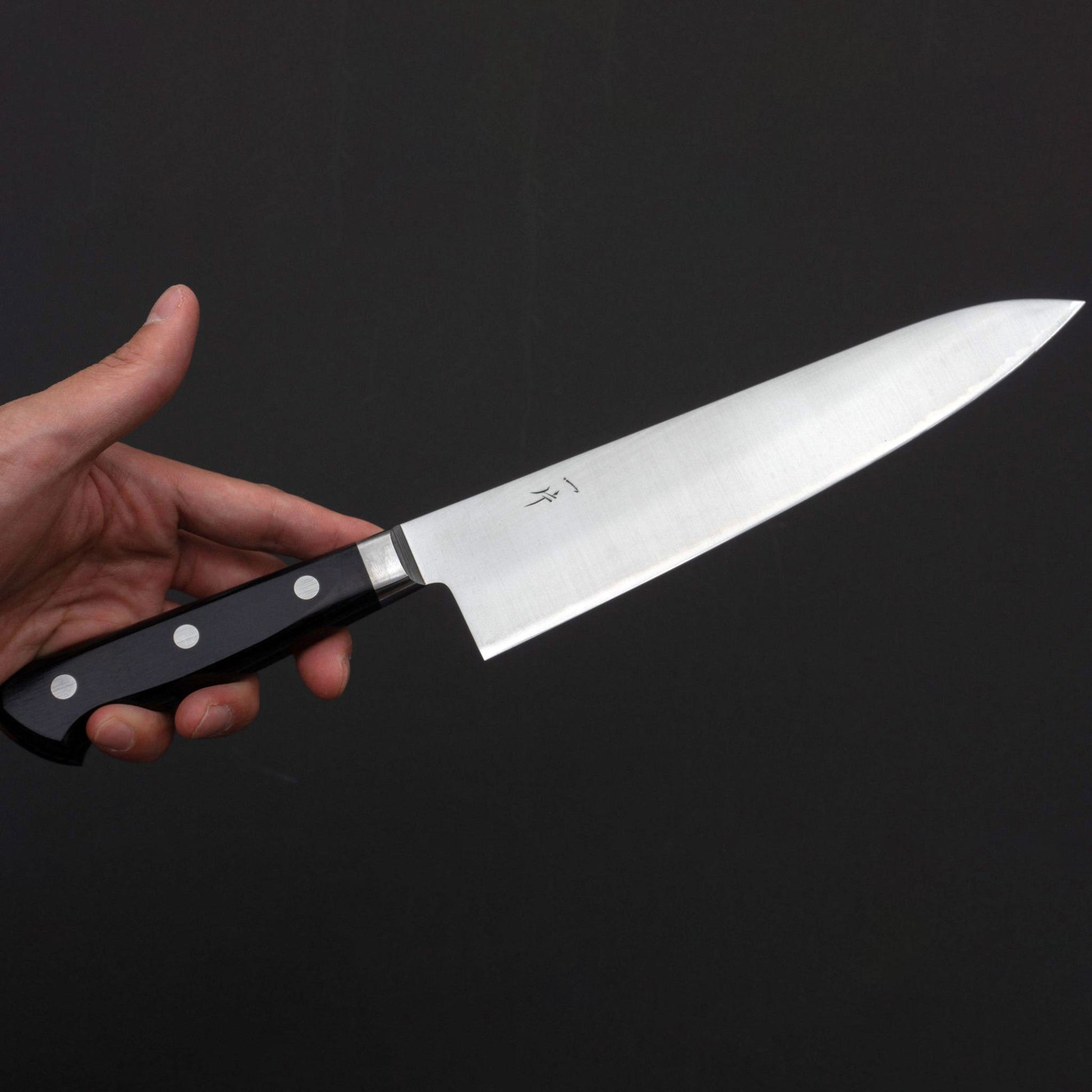 T10 Migaki Gyuto - Kamimoto