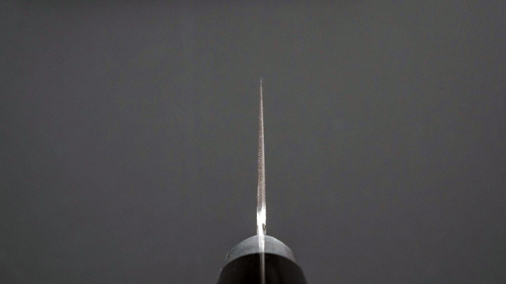 T10 Migaki Gyuto - Kamimoto