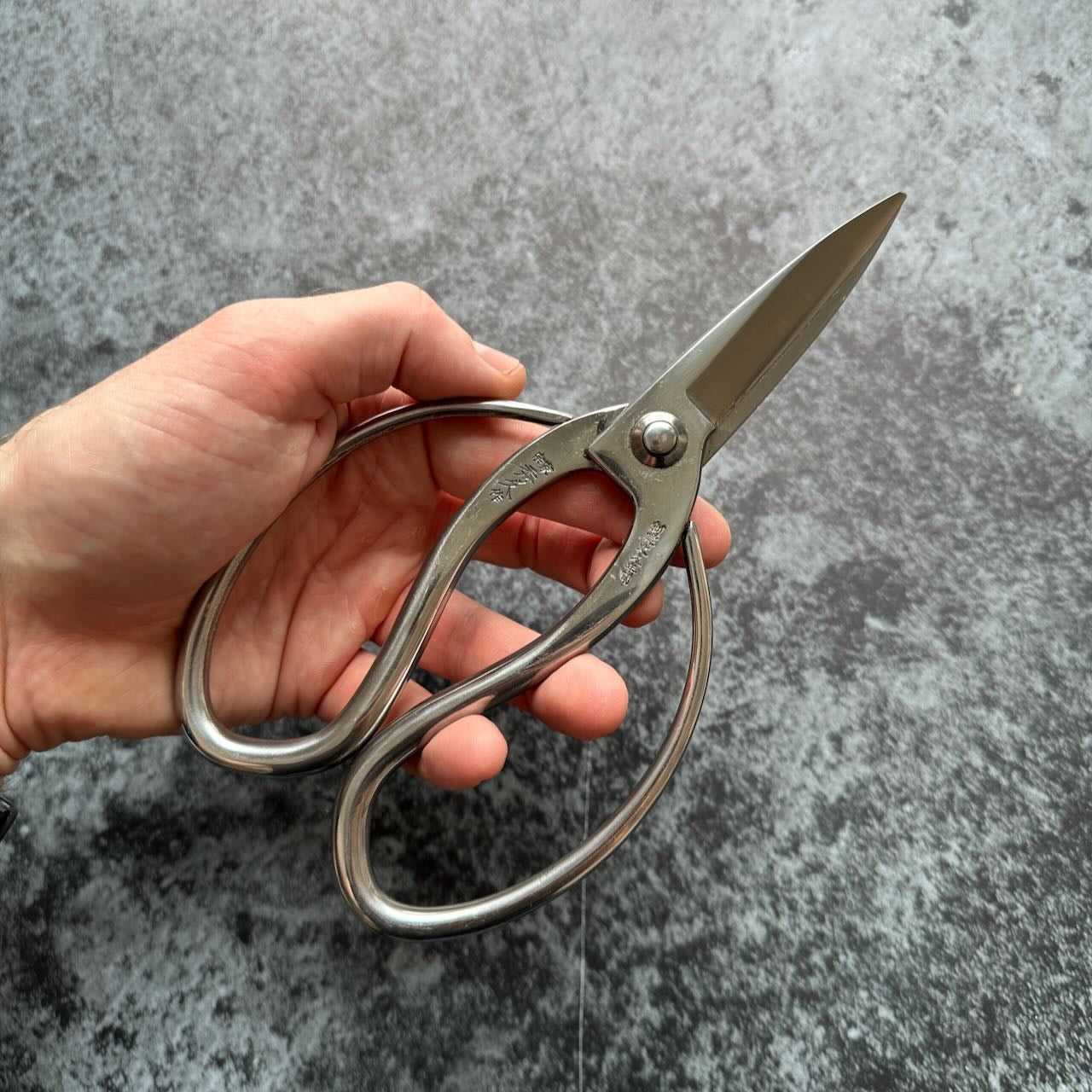 Hidehisa Stainless Okubo Shears 210mm T-12 - Kamimoto